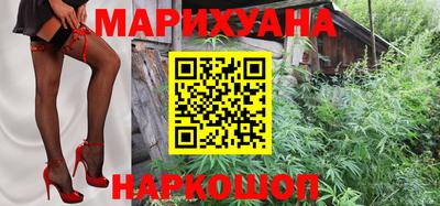 сатива Малоярославец