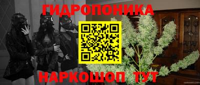 дмт Мариинск