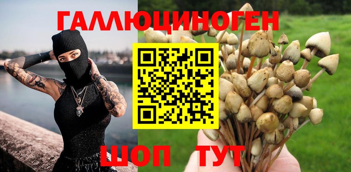 Галлюциногенные грибы мицелий Бугуруслан
